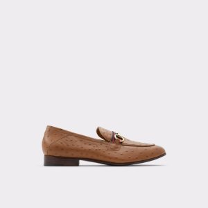 Loafers Aldo Trywen Hnědé | 613ONQYVE