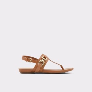 Sandály Aldo Gannamaryn T-strap Sandal Hnědé | 145GMNRBW