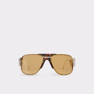 Sluneční Brýle Aldo Qei Aviator Hnědé | 426DNQLUE